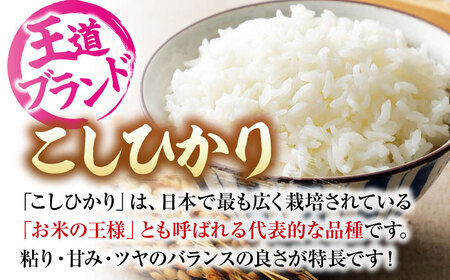 こしひかり 2kg 最短3日発送 スピード発送 令和7年産 [APBM023]米