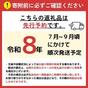 【先行予約】贈答用 信州松本平産 梨【幸水・豊水・南水】おまかせ詰め合わせセット約3kg(8～9玉）《2026年7月頃から発送》～清流と高原の風が育む、信州の香りと甘み～ 