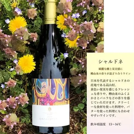 信州たかやまワイナリーのシャルドネ白ワイン1本(長野県高山村産ワインブドウ100%のワイン)【配送不可地域：離島】【1402297】