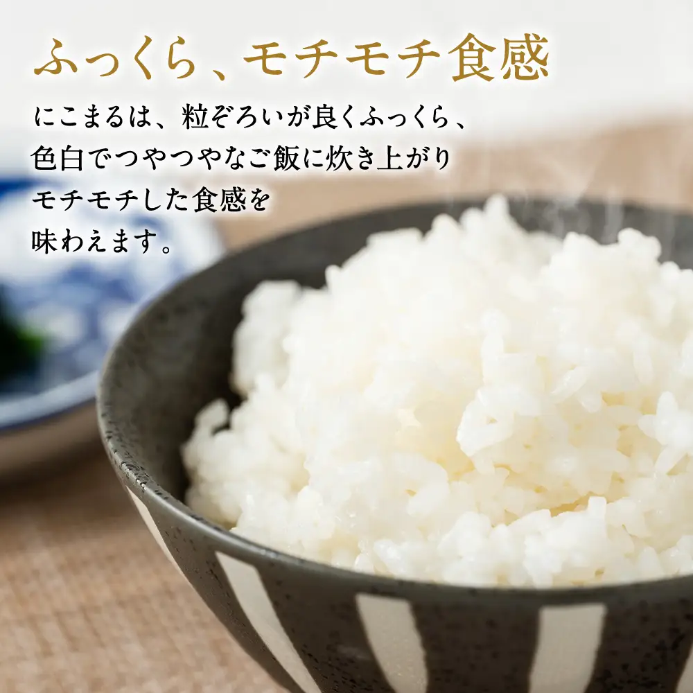 【令和7年産】 菜の花畑のお米 「特別栽培米」 5kg （5kg×1袋） にこまる 米 お米 精米 白米 ごはん ご飯 熊本