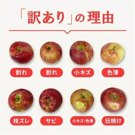 【2026年先行受付】日本で最も美しい村ー信州高山村ー　旬のりんご約5kg入り【訳あり品】【1696077】