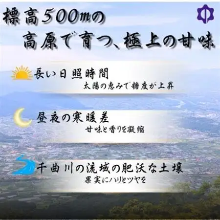 【2026年先行予約開始!】長野県中野市産シャインマスカット 計1.0～1.2kg(2～3房)【配送不可地域：離島】【1682420】