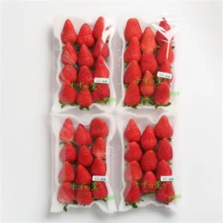 静岡県掛川市産　ミズノ農園の完熟いちご「すずの薫り」　約280g×4パック【配送不可地域：離島・北海道・沖縄県・四国・九州】【1490919】