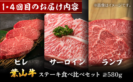 【全6回定期便】毎月内容が変わる！葉山牛お楽しみ便 牛肉 食べ比べ[ASAP088]