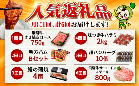 【6回定期便】御嵩町の名店横断！贅沢バラエティ便 / 飛騨牛 鰻 ハラミ 明方ハム ハンバーグ / 岐阜県 御嵩町[AVBM018]