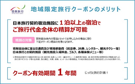 A110　山口市宿泊プランコーディネート券（150000円分）日本旅行 地域限定旅行クーポン