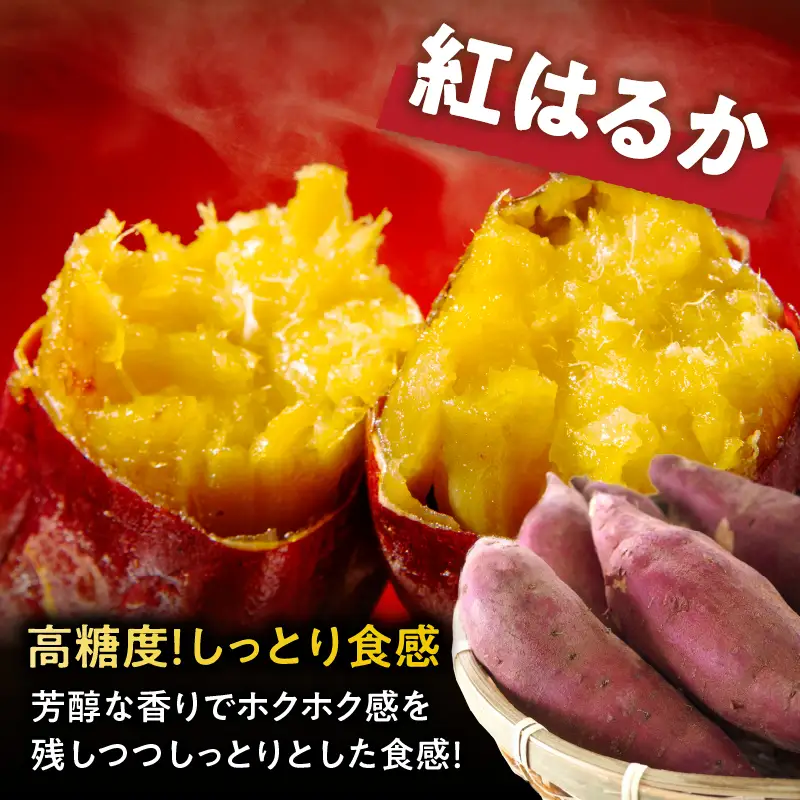 冷やし焼き芋(紅はるか) 計2kg さつまいも イモ 野菜 国産_T016-0075