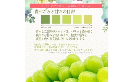 晴王 シャインマスカット晴王 1房 約700g 【先行予約：2026年9月上旬～10月下旬発送予定】 岡山県産 種無し 皮ごと食べる みずみずしい 甘い フレッシュ 糖度保証 クール発送 瀬戸内 晴れの国 おかやま 果物大国 満天フルーツ 冷蔵 岡山県 倉敷市