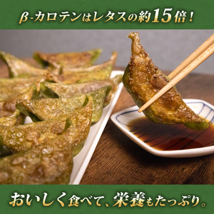 サンチュ餃子 96個 餃子