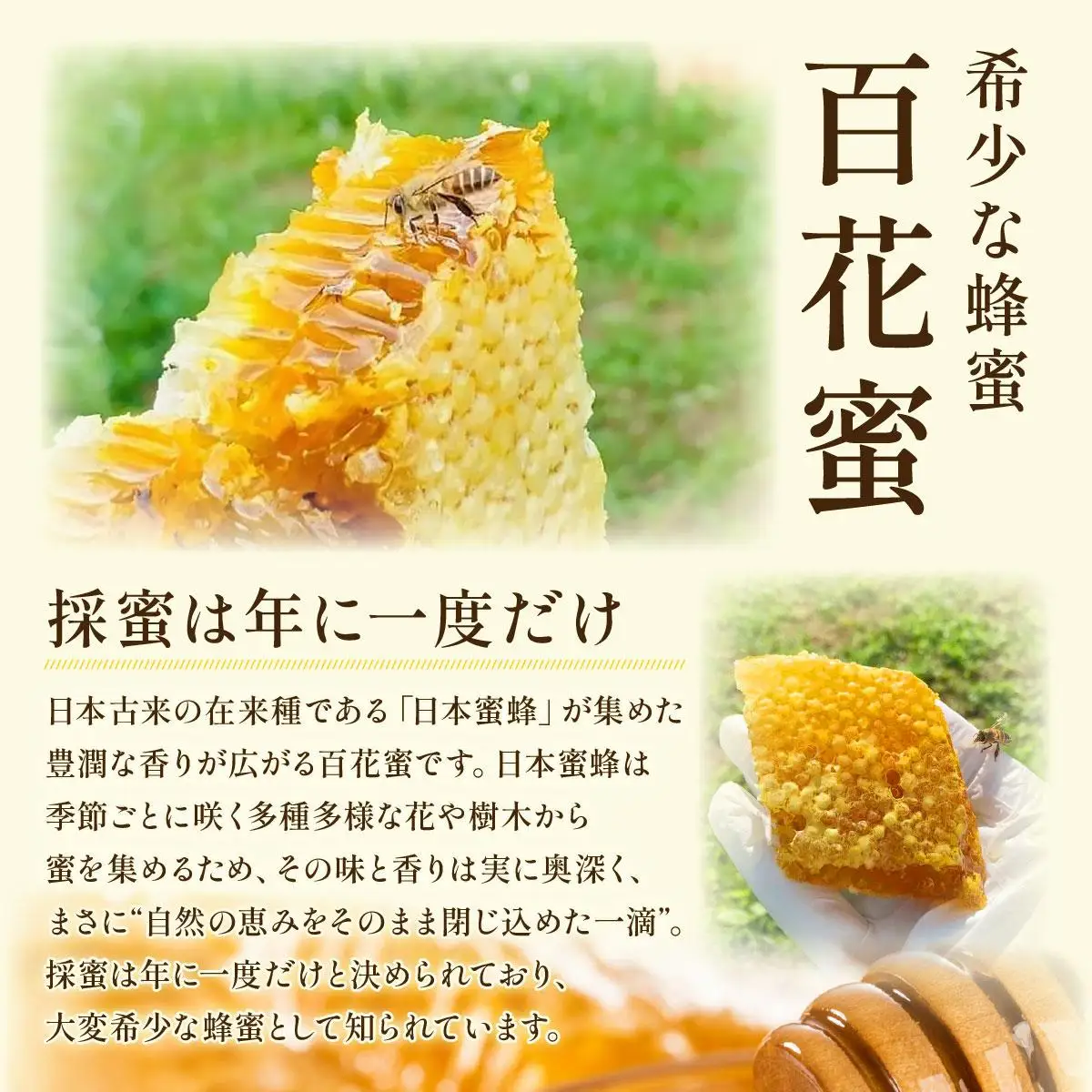 日本蜜蜂の純粋はちみつ 300g×2