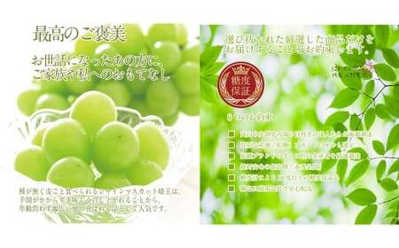 赤秀ぶどう プレミアム シャインマスカット 晴王 1房 約600g 【先行予約：2026年9月上旬～10月下旬発送予定2回定期便】 船穂産 赤秀品以上 皮ごと食べる みずみずしい 糖度保証 岡山県産 満天フルーツ 定期便 冷蔵 岡山県 倉敷市