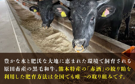 熊本県産 『原田畜産』 黒毛和牛 スライス 2種食べ比べ 計約1500g（焼き肉用約300g・しゃぶしゃぶ用約200g×各3P） 牛肉 牛 【有限会社 九州食肉産業】[AYCN148]