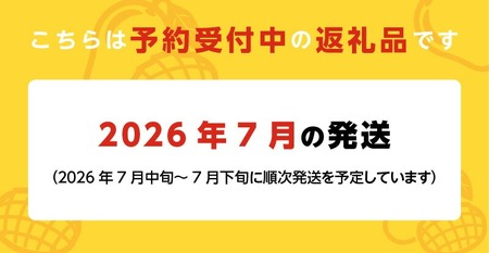 【2026年7月お届け】完熟マンゴーのジェラート＆シャーベット130ml×8個入り  〔Dw012-08〕