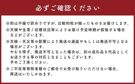 【訳あり】かねひろの黒酢ブラックシャインマスカット 富士の輝き 約700g × 2房 （合計：約1.4kg） 【2026年9月上旬～9月下旬発送予定】 シャインマスカット ぶどう ブドウ ブラック 葡萄 シャインマスカット フルーツ 果物 くだもの 訳あり わけあり 佐賀県 太良町 003-0008