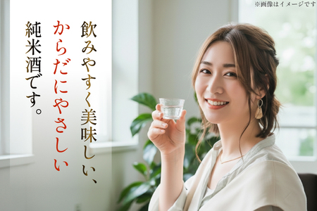 日本酒 純米あんだんて 720ml 2本 セット [米鶴酒造 山形県 高畠町 tk06ays710014]