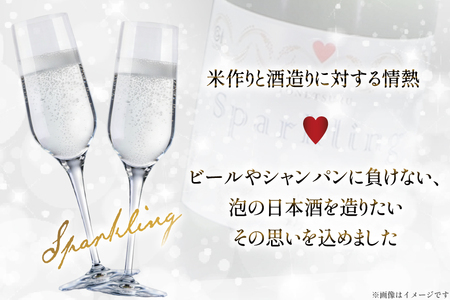 日本酒 辛口 スパークリング 750ml 2本 セット [米鶴酒造 山形県 高畠町 tk06ays710011]