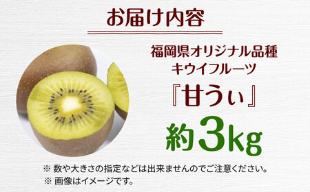 福岡限定品種キウイ「甘うぃ」約3kg／2026年11月頃より発送予定 桂川町/一般社団法人地域商社ふるさぽ[ADCF012]