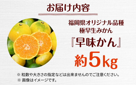 福岡県オリジナル品種極早生みかん『早味かん』約５kg／2026年9月頃より発送予定 桂川町/一般社団法人地域商社ふるさぽ[ADCF014]
