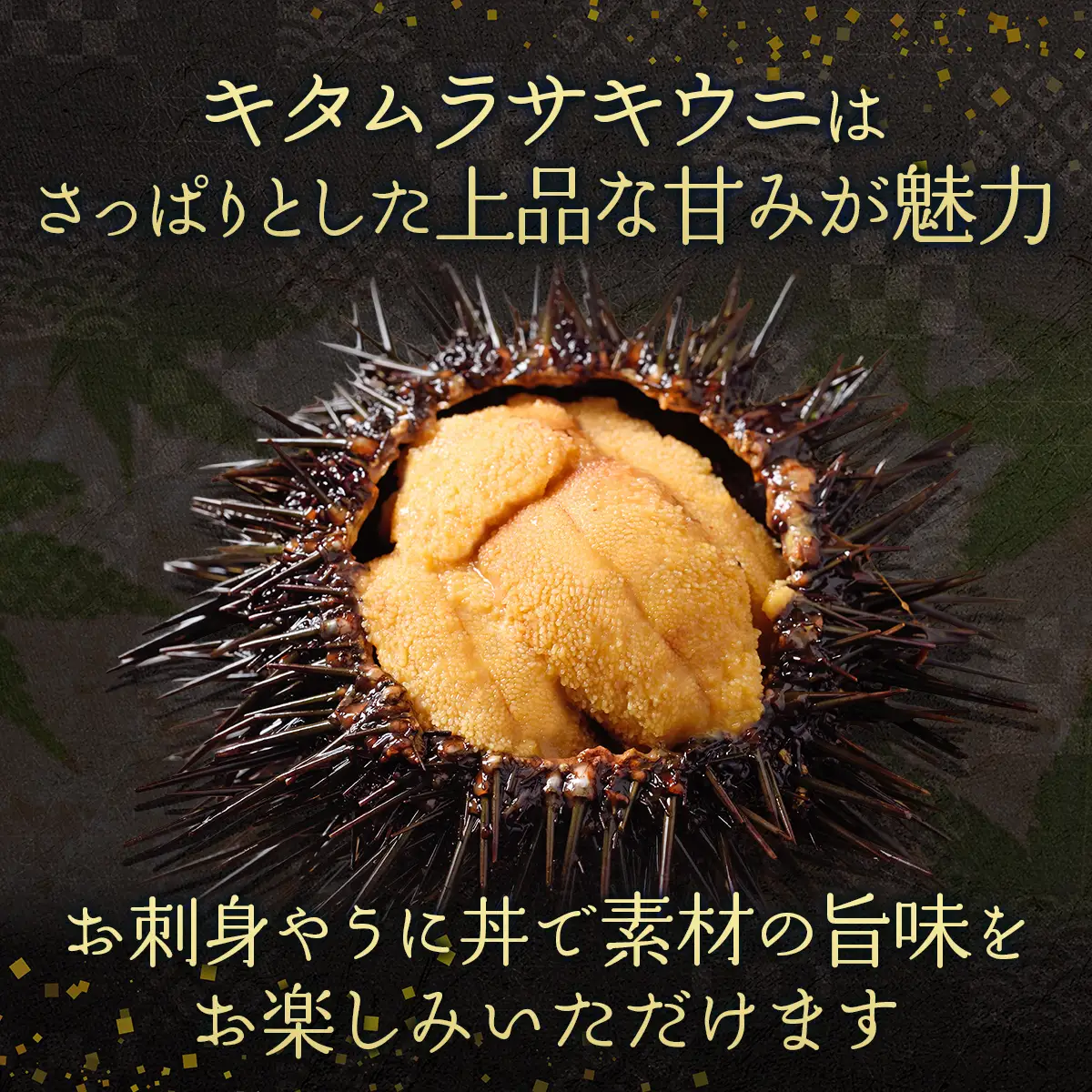 北海道室蘭産 キタムラサキウニ（塩水ウニ）（100g×2パック）【2026年7月～9月中旬頃順次発送】 MROBQ002