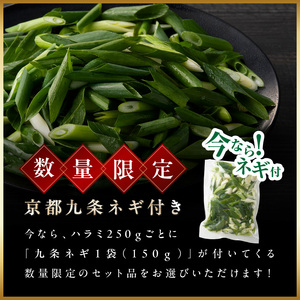 今だけ数量限定！九条ネギ付き！肉汁溢れる 国産牛ハラミ 500g 093-43-P