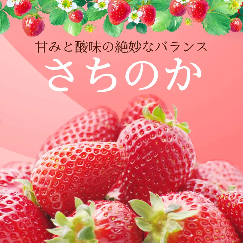 いちご 1kg さちのか 苺