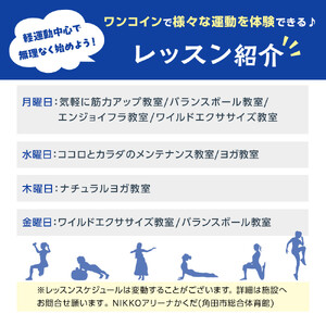 角田市総合体育館 ワンコインレッスン回数券　11回分