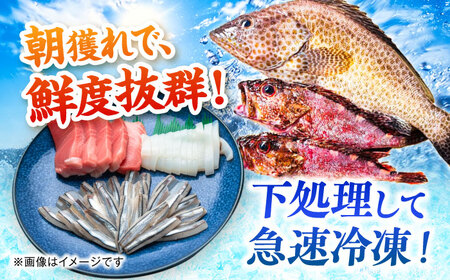 漁師の極み刺身パック（粋）1皿 五島市/Sun Sea Go Company 魚 おまかせ お任せ 鮮魚 五島列島[PGL017]