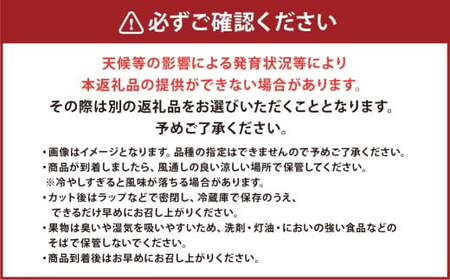 大玉すいか 1玉入り L以上 約5kg 【2026年5月上旬～2026年6月下旬発送予定】スイカ 甘いフルーツ 名産果物  果物 熊本県 