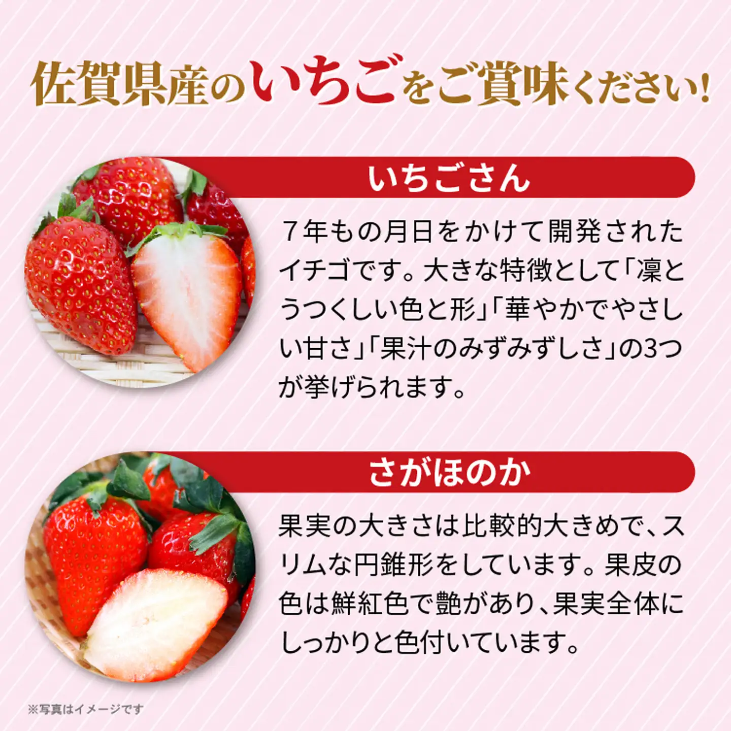 いちご食べ比べ（いちごさん・さがほのか） _b-497