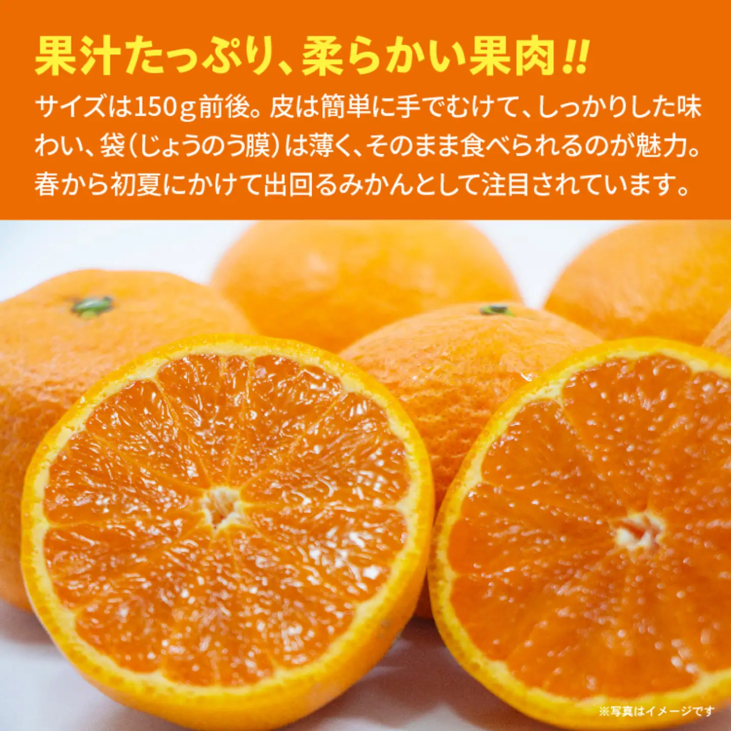 【贈答向け】南津海（なつみ）みかん 2.5kg _b-500