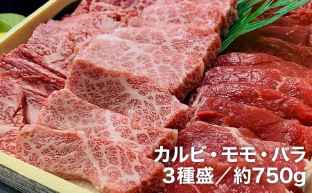 【数量限定】垣牧場直売「淡路姫和牛」BBQセット（750g）＋ホルモンミックス（400g）