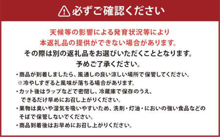 熊本市産 肥後グリーンメロン2玉４L以上 約4kg 【2026年4月下旬～2026年７月下旬発送予定】メロン 青肉 甘いフルーツ プレゼント 贈答 贈り物 果物 熊本県 