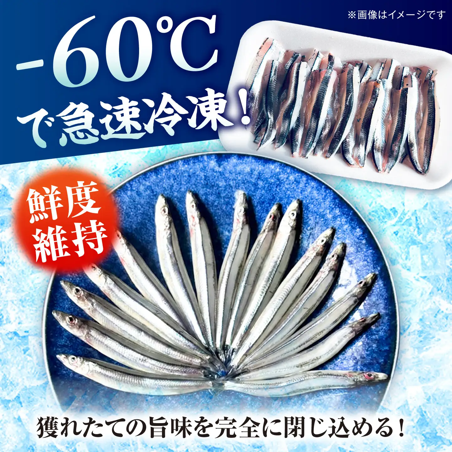 五島漁師のきびなご入門　お刺身キビナゴ25尾＆まるごとキビナゴ150g×2パック 五島市/Sun Sea Go Company[PGL025]