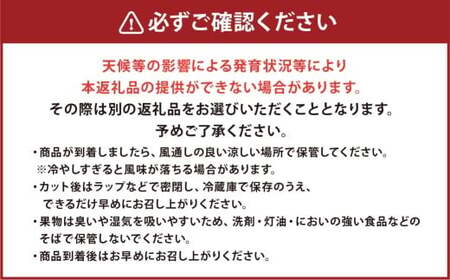 熊本市産 肥後グリーンメロン4-6玉 L以上 約7kg 【2026年4月下旬～2026年７月下旬発送予定】メロン 青肉 甘いフルーツ プレゼント 贈答 贈り物 果物 熊本県 