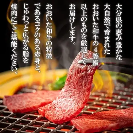 おおいた和牛 焼肉用 300g(日出町)【配送不可地域：離島】【1700646】