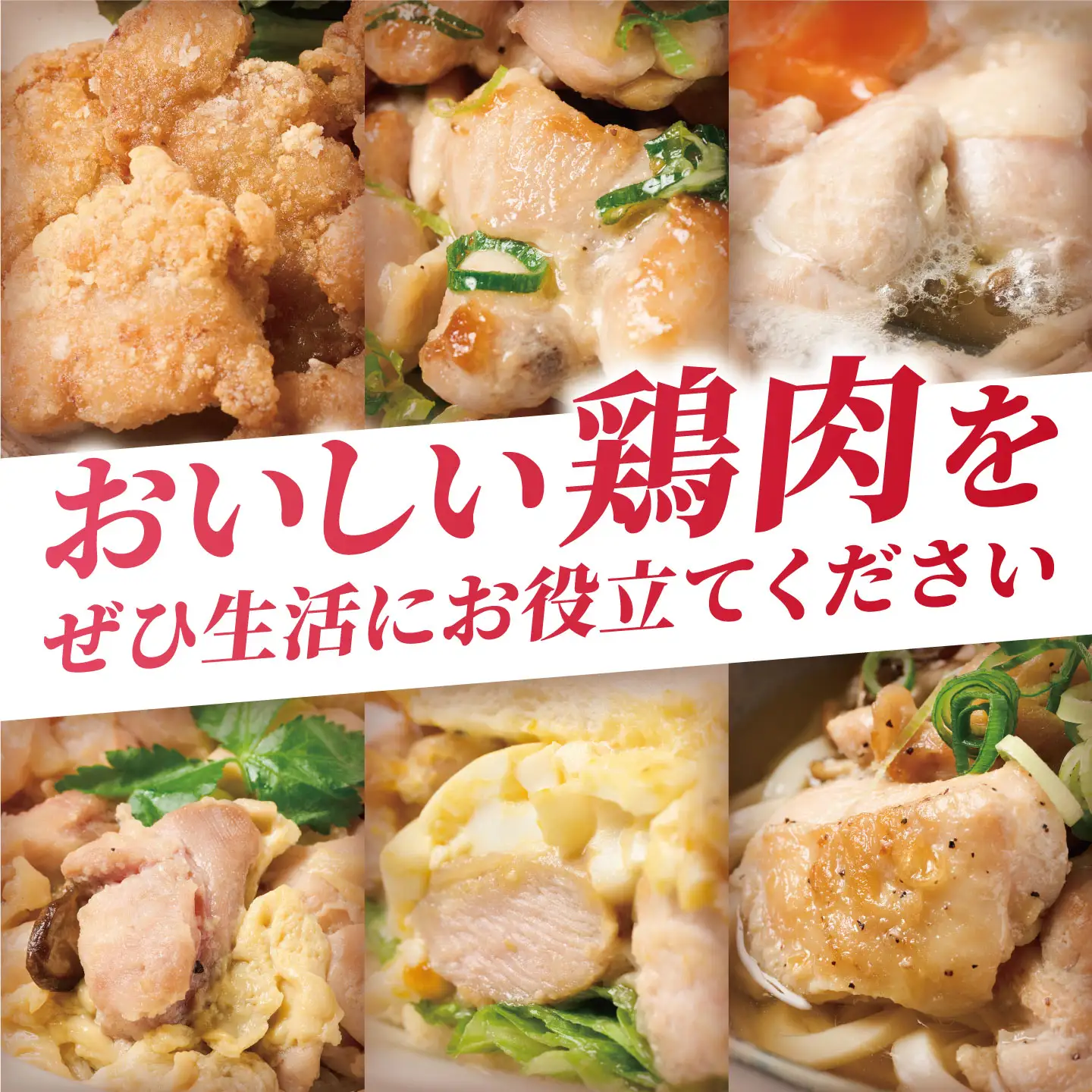 鶏肉 九州産 若鶏 もも切身 合計3.6kg（300g×12袋） 鶏肉