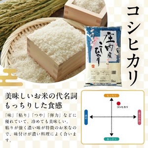 コシヒカリ 5kg 令和7年産米 山形県庄内産 東北 遊佐町 庄内地方 庄内平野 米 お米 精米 白米 庄内米 ごはん ご飯 [1460R07]