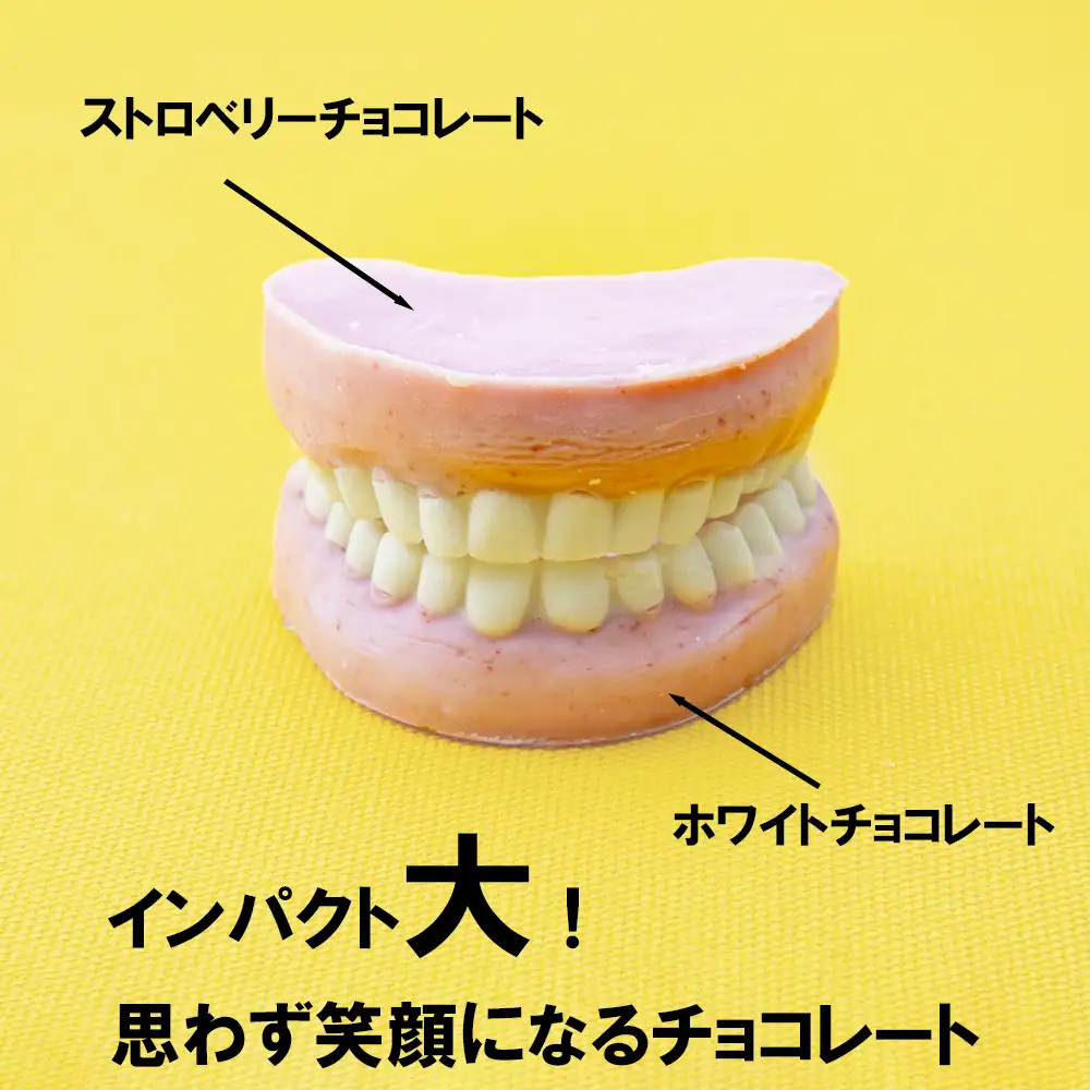 ハロウィン・バレンタインデーチョコレートのニューウェーブ。あなたと一緒にいればー「入れ歯チョコレート」（2個セット）ハロウィンの仮装に。バレンタインデーのサプライズに。【チョコ チョコレート サプライズ ギフト 贈り物 ハロウィン バレンタイン プレゼント ストロベリー 苺チョコ おいしい 楽しい 仮装 ファミリー 家族 パーティ こども BonBons 三重県 四日市市 ふるさと納税】