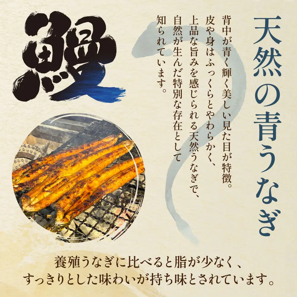 熊本県 八代市産 天然青うなぎの蒲焼 蒲焼セット 2尾（90g～110g×2） 自家製うなぎのタレ 鰻 ウナギ うなぎの蒲焼 丑の日 国産 うな丼 うな重