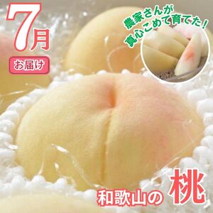 【全2回】かつらぎ町のフルーツ定期便（桃・梨）【7月・8月】【tkb425】