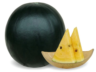 【先行受付】信州波田産 高級 黒玉スイカ！信州の涼味 【特上】 4L～5Lサイズ 1玉