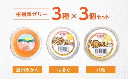 柑橘スムージーゼリー (3個×3種) 9個セット / ゼリー ぜりー 果汁ゼリー 柑橘 八朔 温州みかん はるか / 諫早市 / 圭昭園　[AHAZ012]