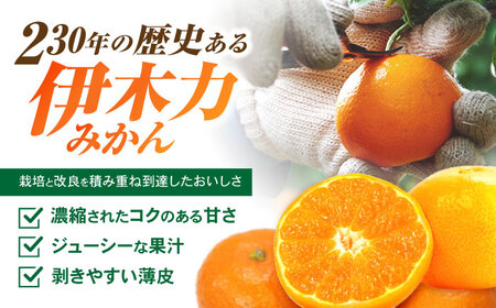 ※【2026年10月下旬より順次発送／先行予約】伊木力みかん(家庭用) 3.6kg(1.8kg×2) / みかん ミカン 蜜柑 オレンジ mikan 柑橘 かんきつ フルーツ ふるーつ 果物 くだもの / 諫早市 / 山野果樹園 [AHCF019]