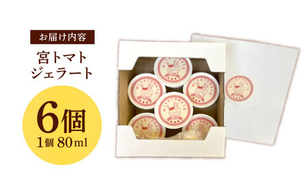 宮トマトジェラート 80ml×6個 / ジェラート トマト とまと アイス　アイスクリーム スイーツ / 諫早市 / 宮下農園[AHCG032]