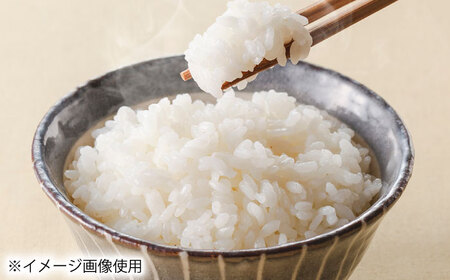 特別栽培米 つや姫 5kg お米 白米 精米 岐阜市 / 羽賀政夫[ANDZ004]