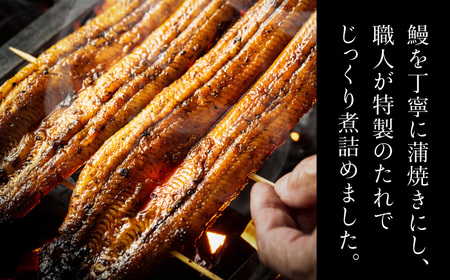 お茶漬け鰻 1本 岐阜市 / ひら井[ANIZ007]