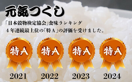 米 【特A】「元気つくし」5kg×1袋 [5kg] [白米] [ABDF201] 令和7年産 米 白米 精米 ご飯 ごはん こめ コメ 