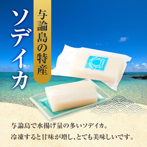 ヨロン島特産☆あま～いソデイカ 3kgセット | イカ