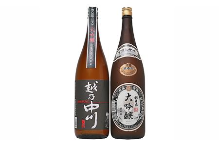 C1-A9B大吟醸飲み比べセット（1800ml×2本）