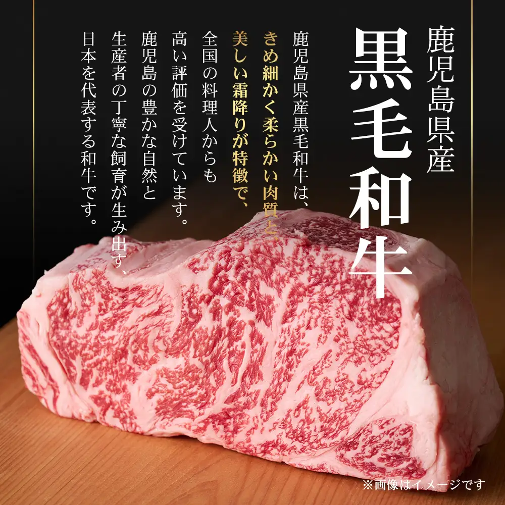 鹿児島県産 黒毛和牛 ≪生≫ 和食料理人の手作り ハンバーグ （100g×6個）GN-3｜鹿児島県 南大隅町 ハンバーグ 牛肉 手作り 銀シャリ中はら